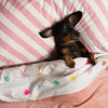 Confetti Spot Velvet Bedspread-Bedspread-Antipodream